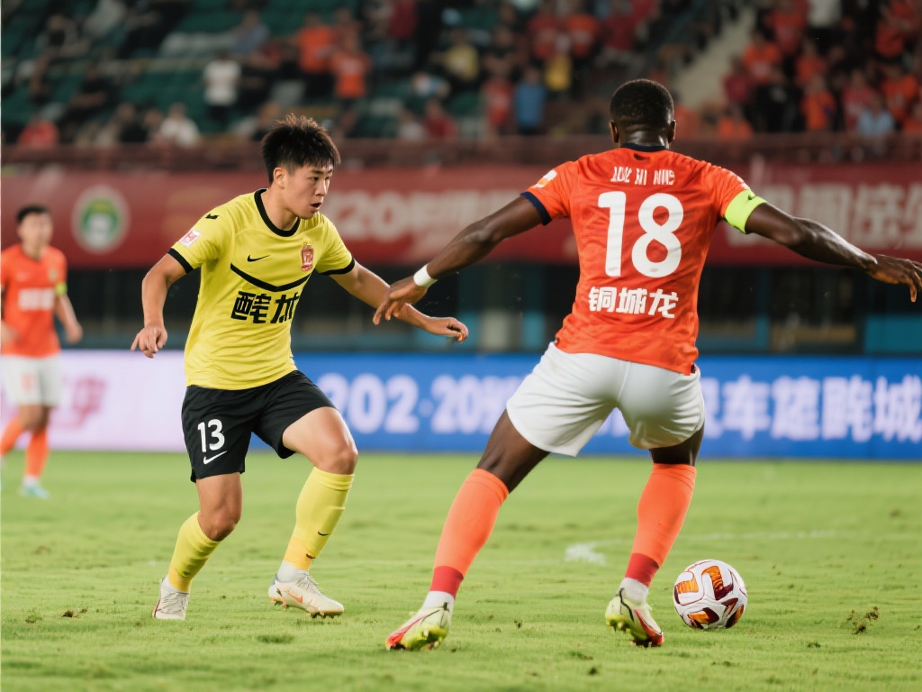 家队出战 家队出战