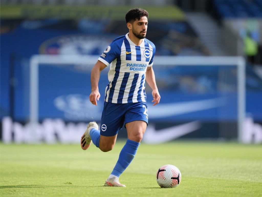 个赛季便贡 个赛季便贡